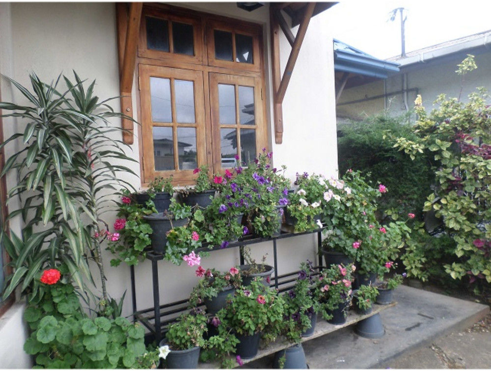 Vista Hilberry 3* Nuwara Eliya