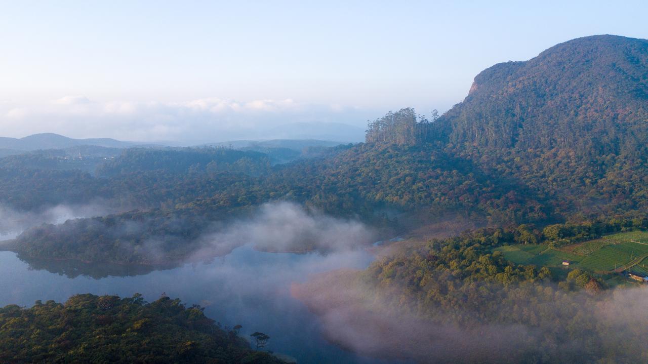 The Forest And By Schofieldshire Villa Nuwara Eliya