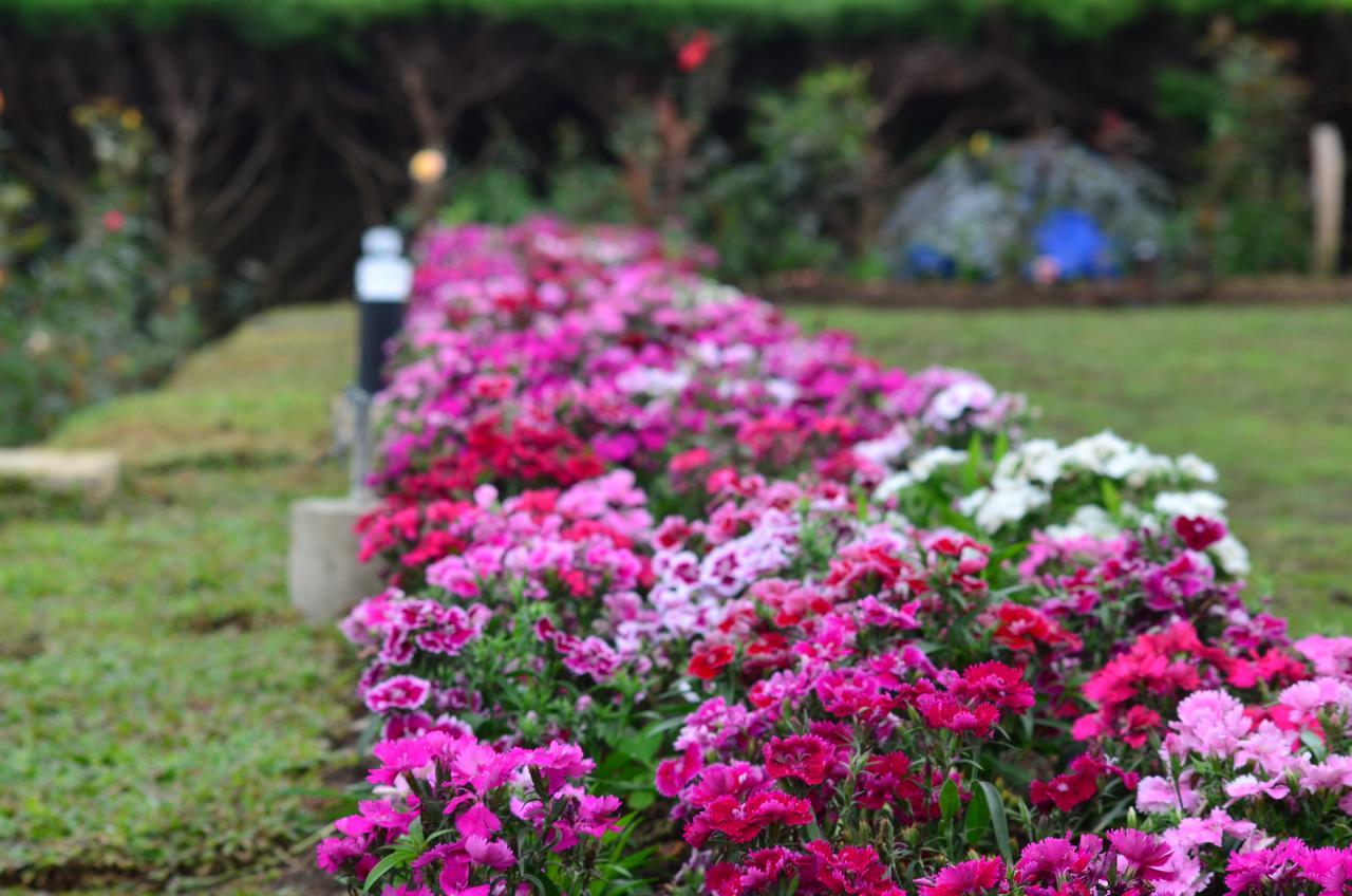 Ripon Grand Hill By Ehi Nuwara Eliya
