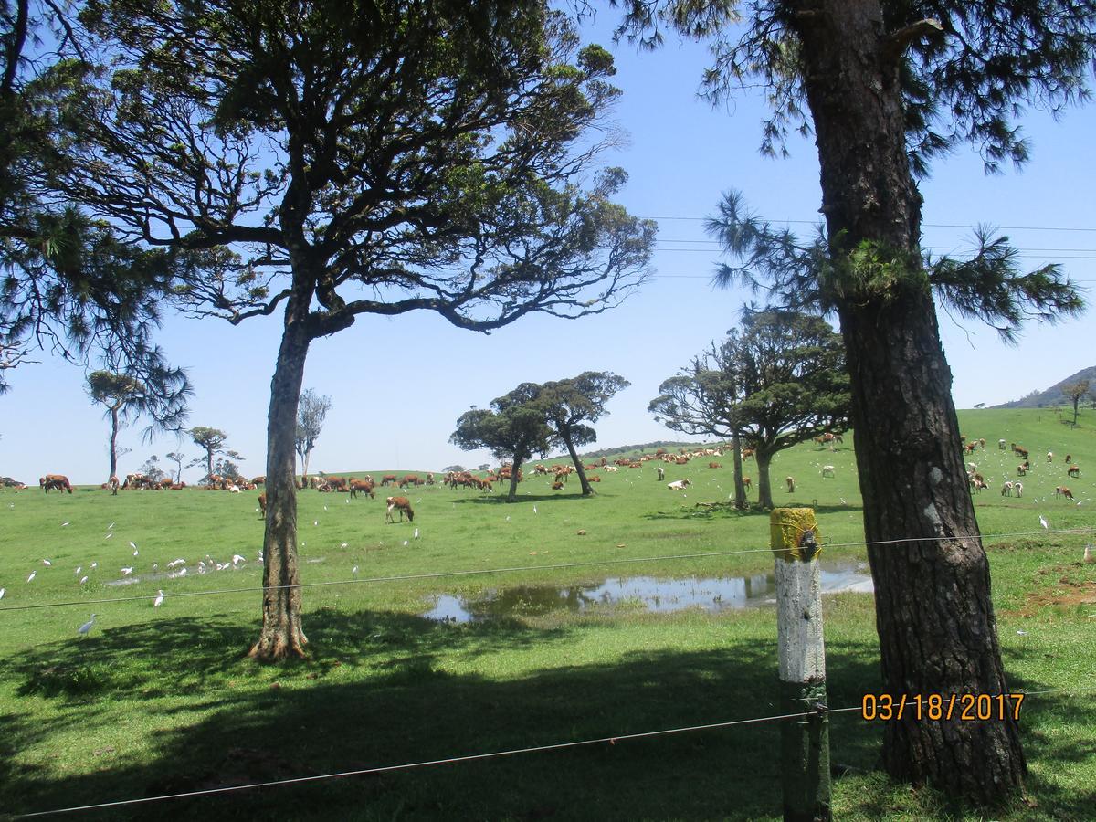 Homestay Andrews