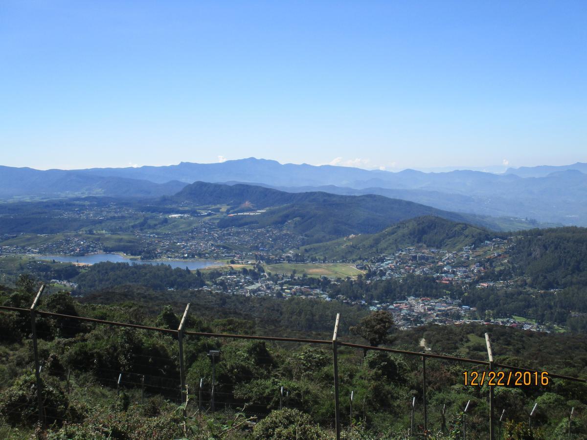 Homestay Andrews