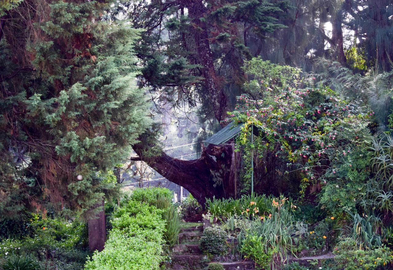 Mount Mary Inn Nuwara Eliya