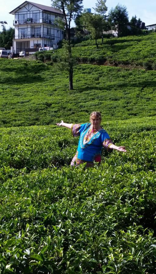 Tealeaf Bed & Breakfast