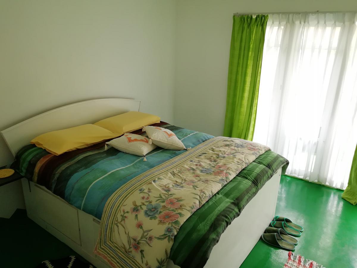 Red Gold & House Homestay *
