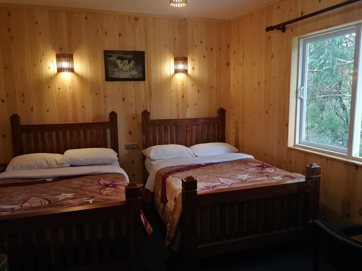Guest house New Tour *