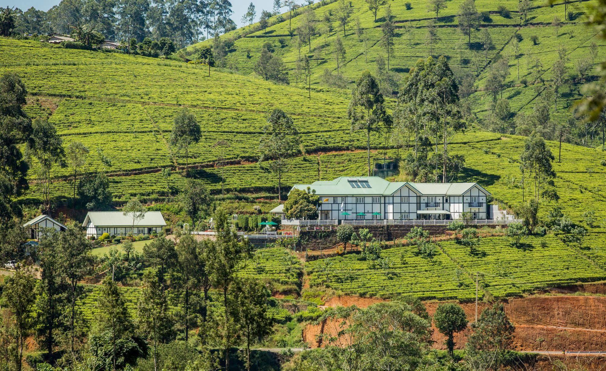 Langdale Boutique By Amaya Nuwara Eliya