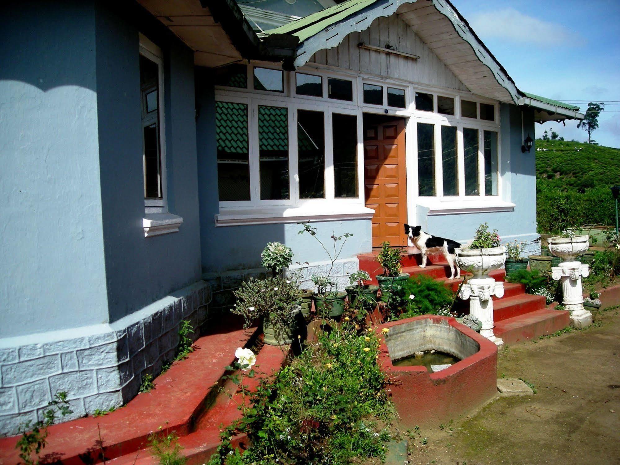 Old Colonial