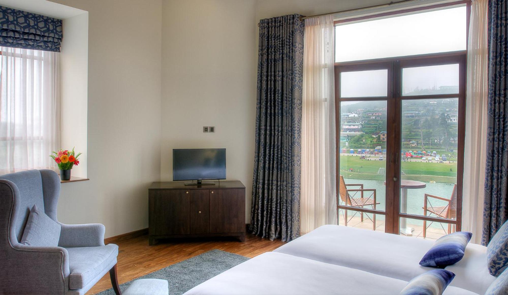 Tea Plant * Nuwara Eliya