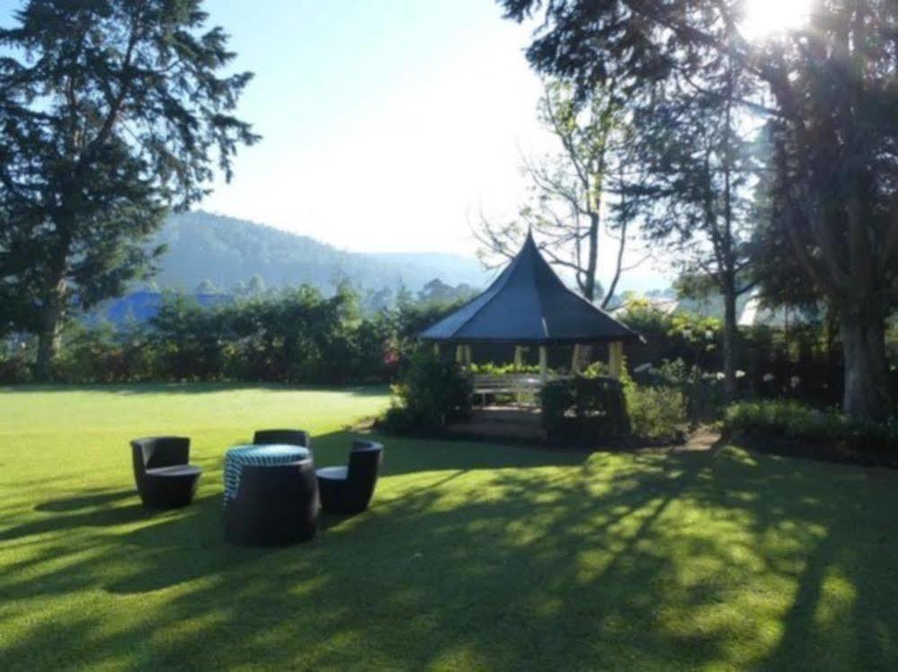 Guest house Ferncliff 4*