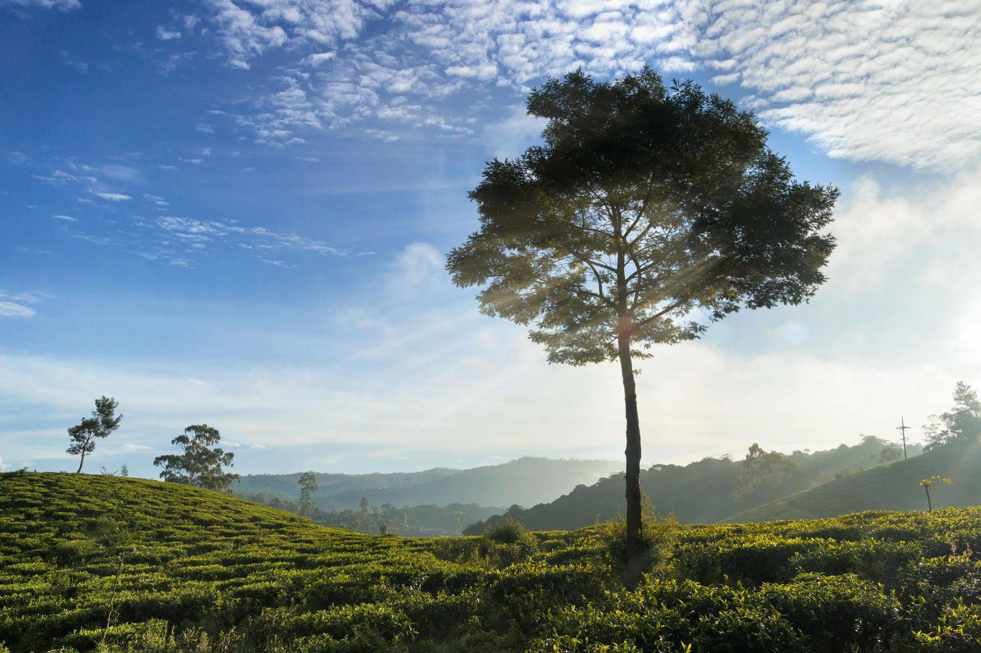 Villa Kent Nuwara Eliya