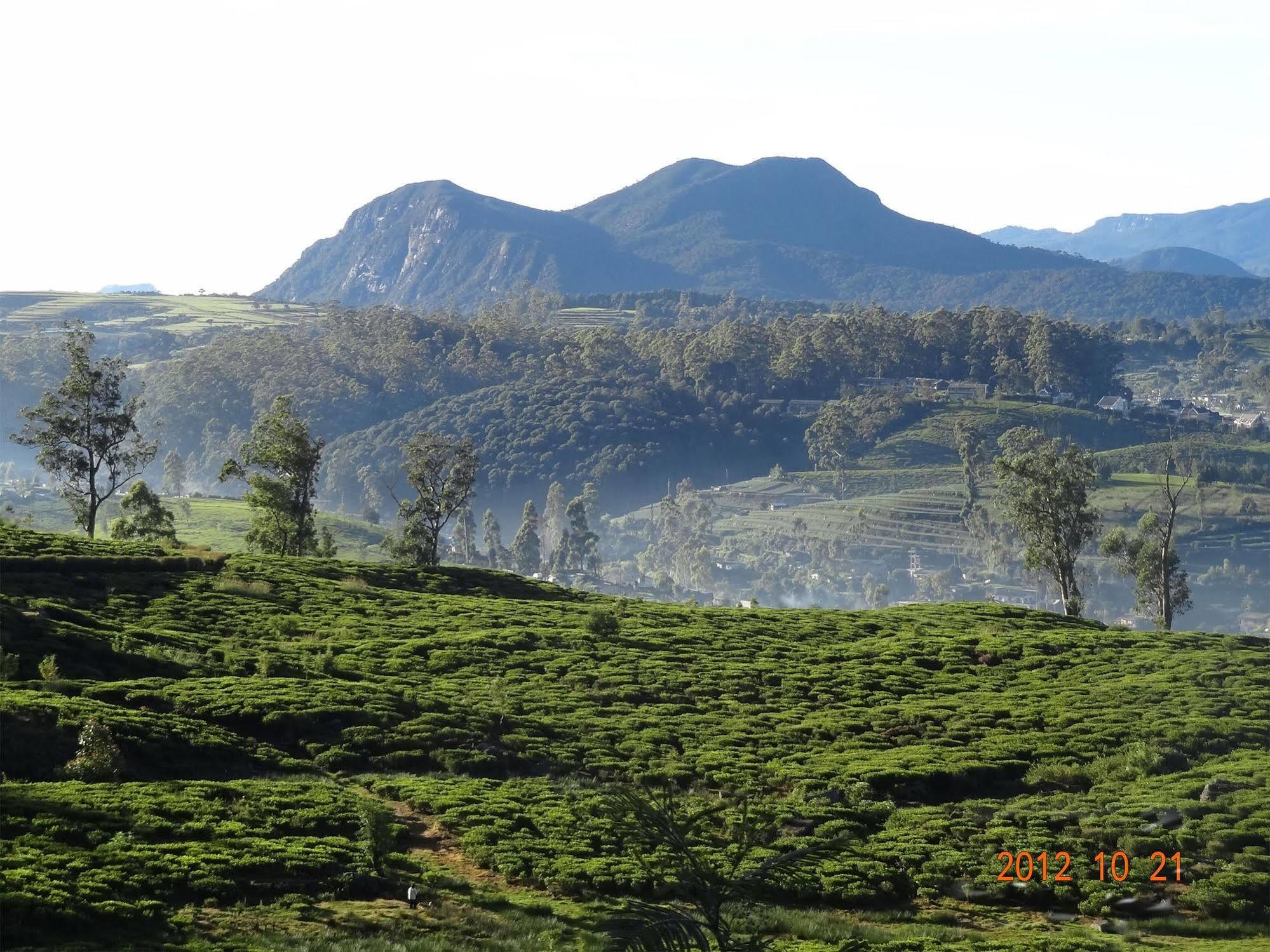 Senani Colonial Nuwara Eliya