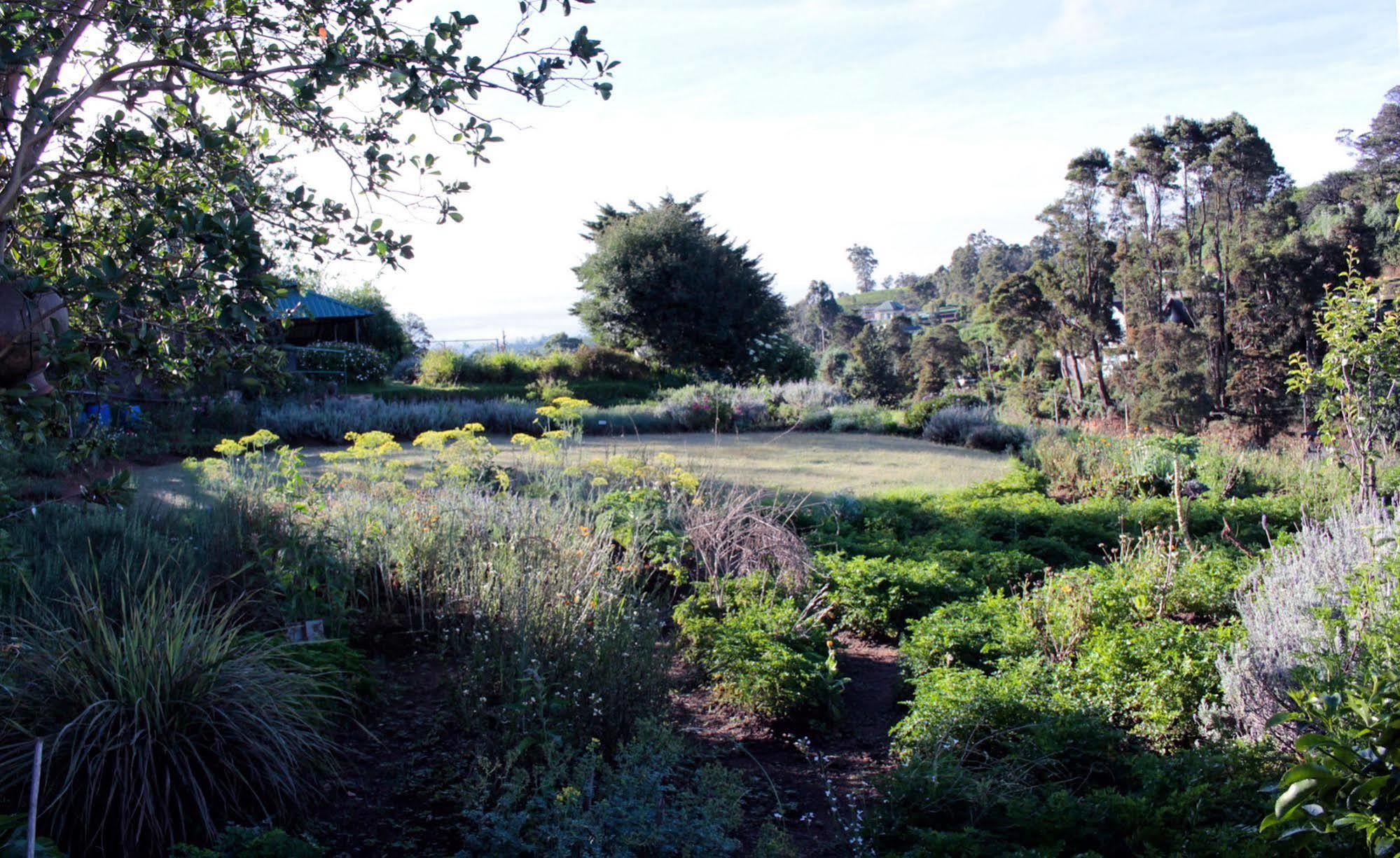 Villa Senani Colonial