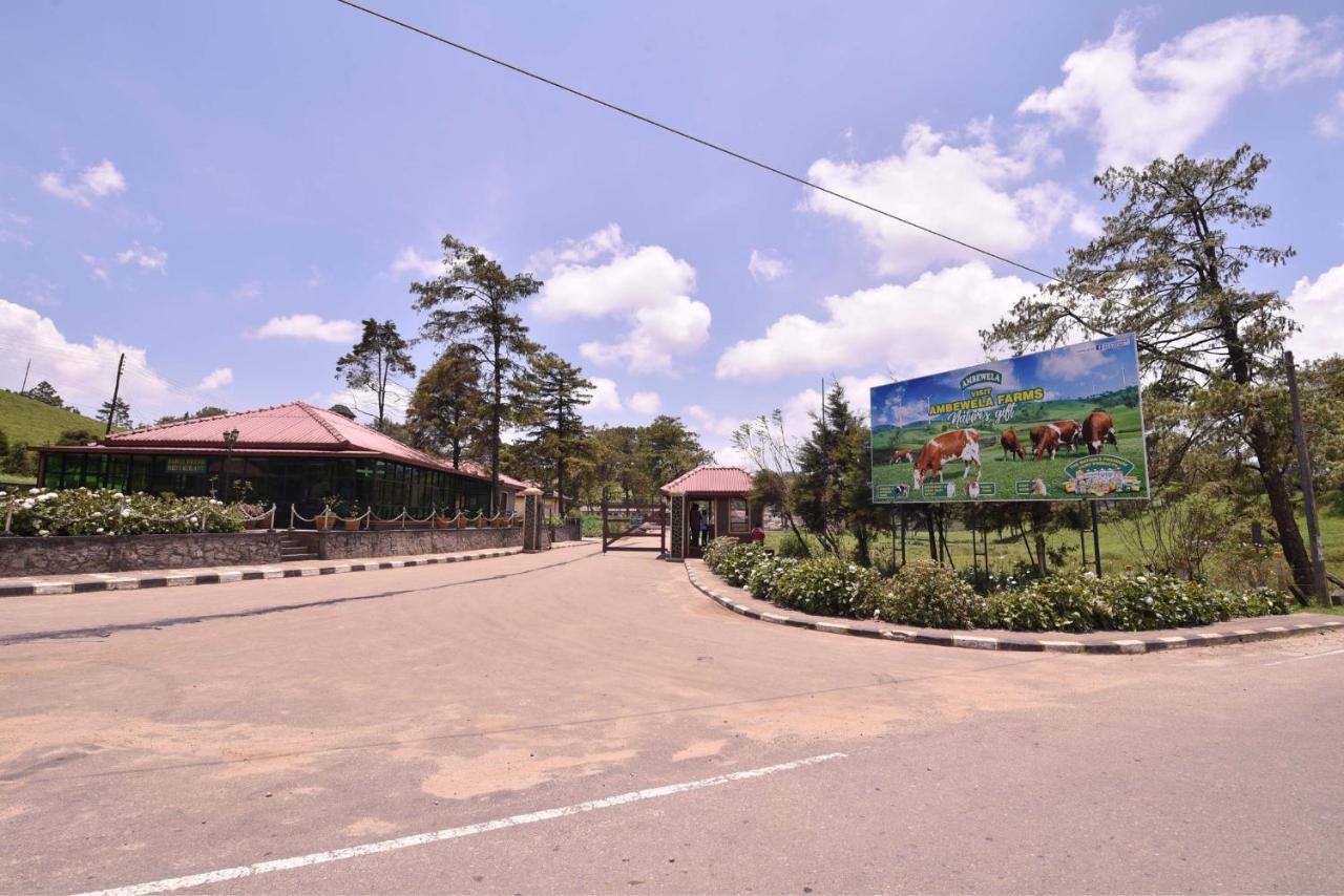 Terrace * Nuwara Eliya