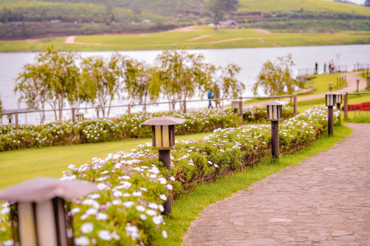 Terrace *