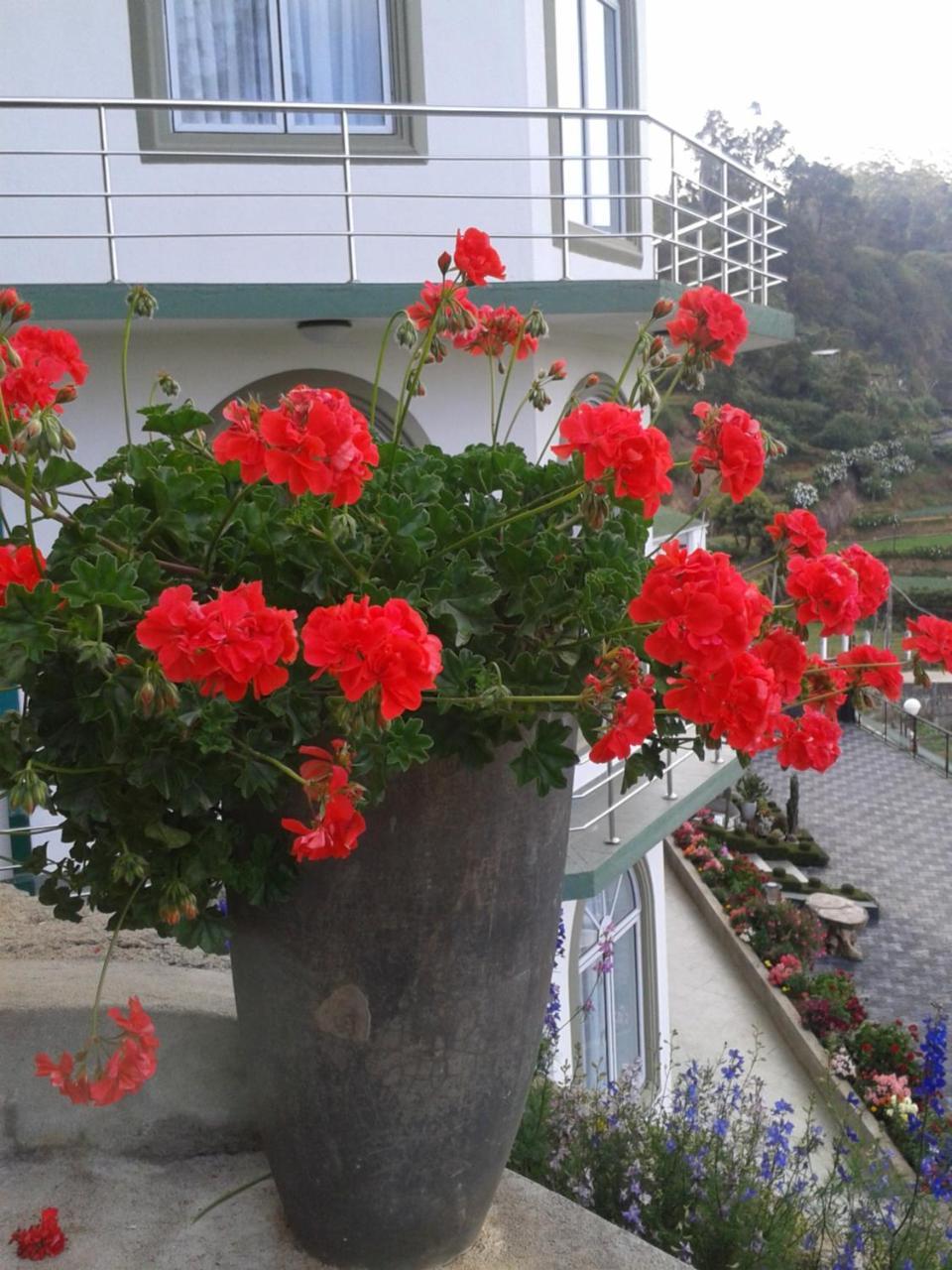 Qantara 4* Nuwara Eliya