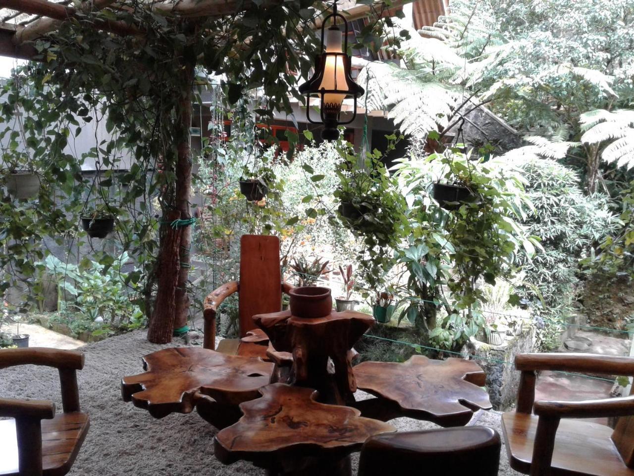 King Fern Guest house Nuwara Eliya