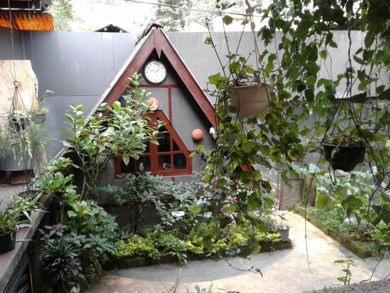 King Fern Guest house