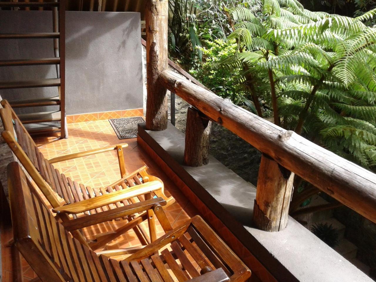 King Fern Guest house