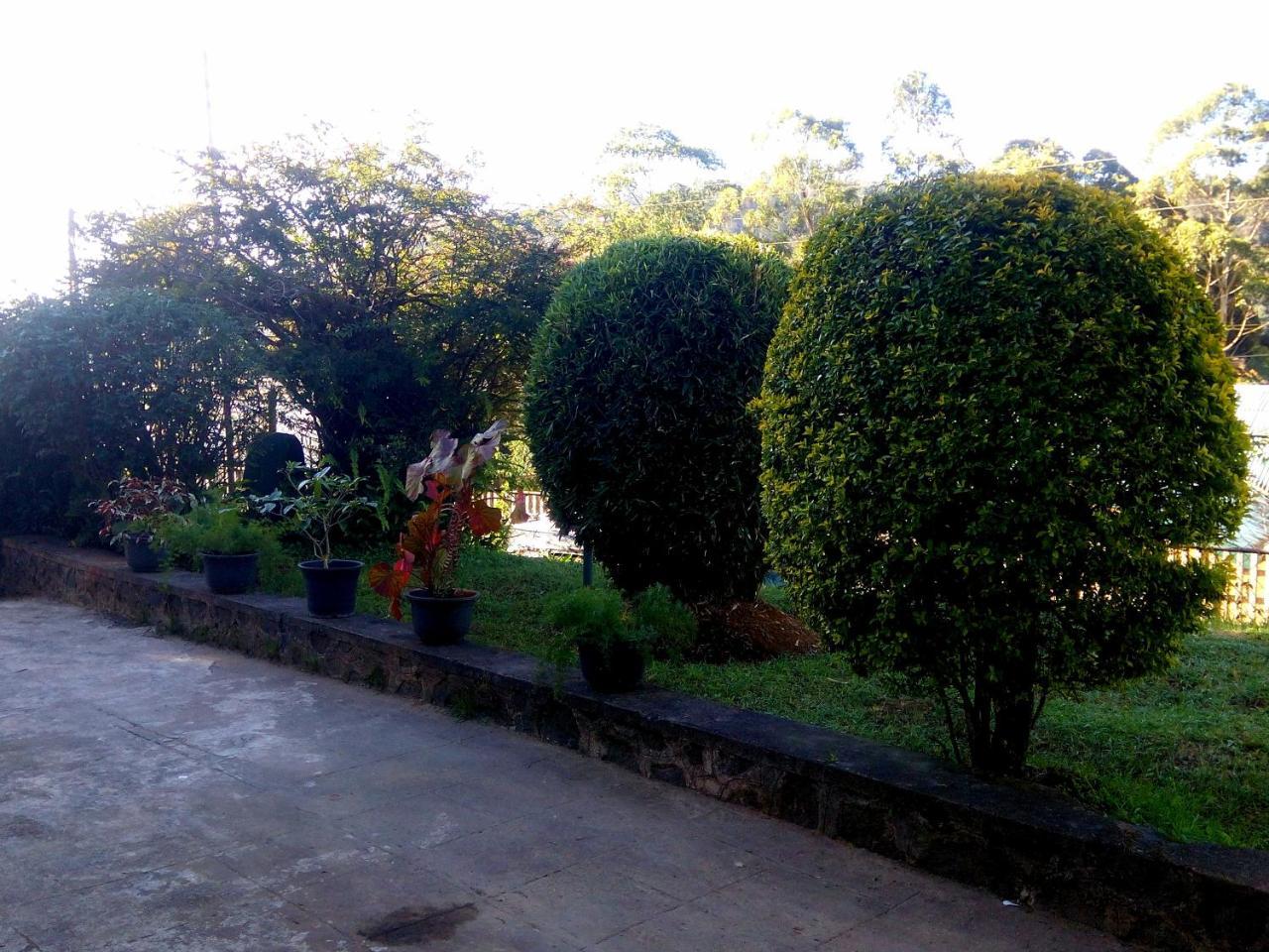 Crown - Hotel