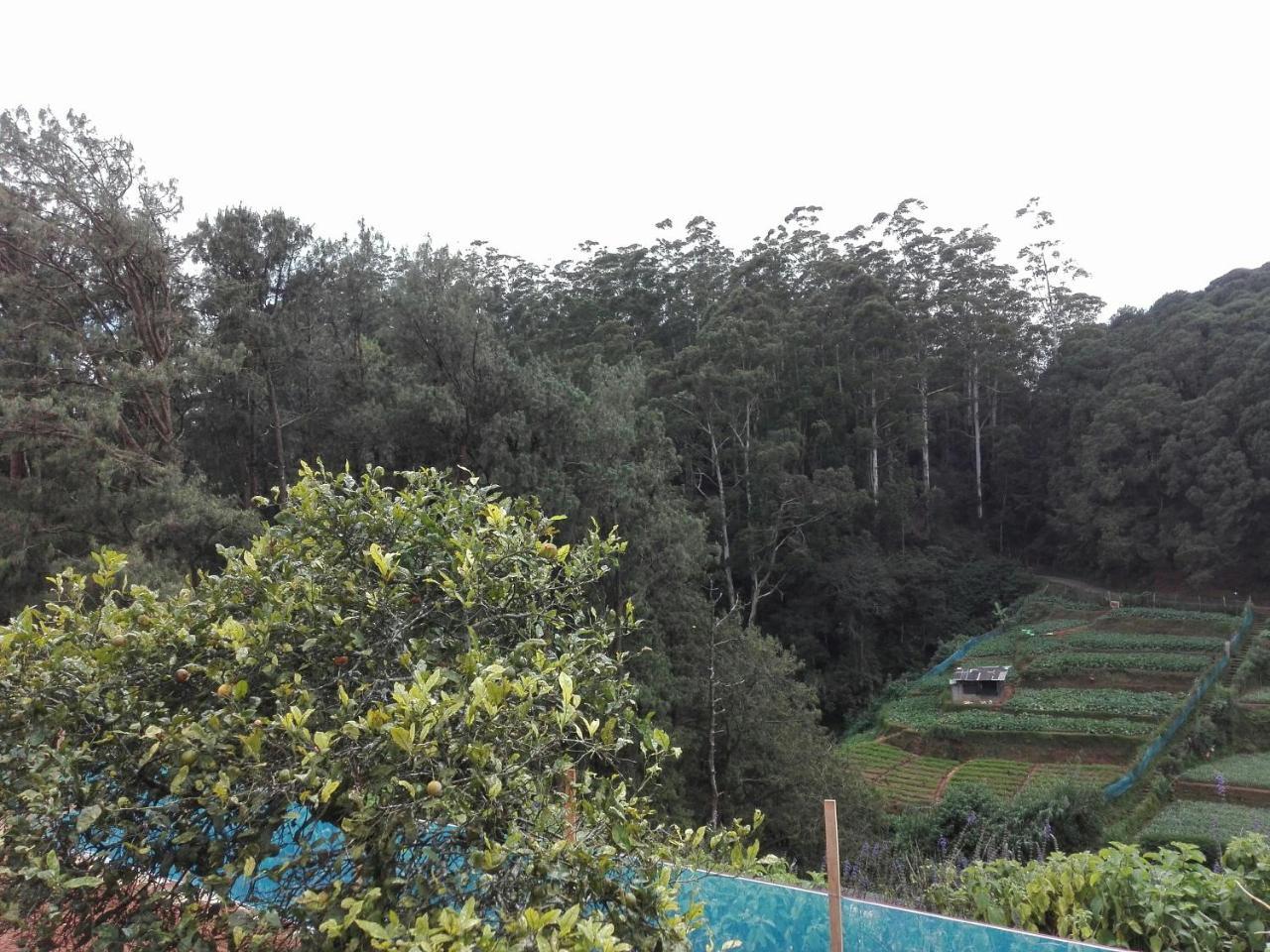 Keshiya Holiday home