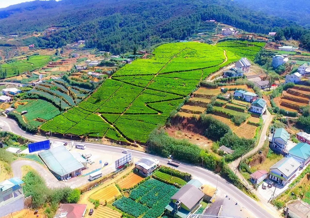Hummingbird Hill Nuwara Eliya