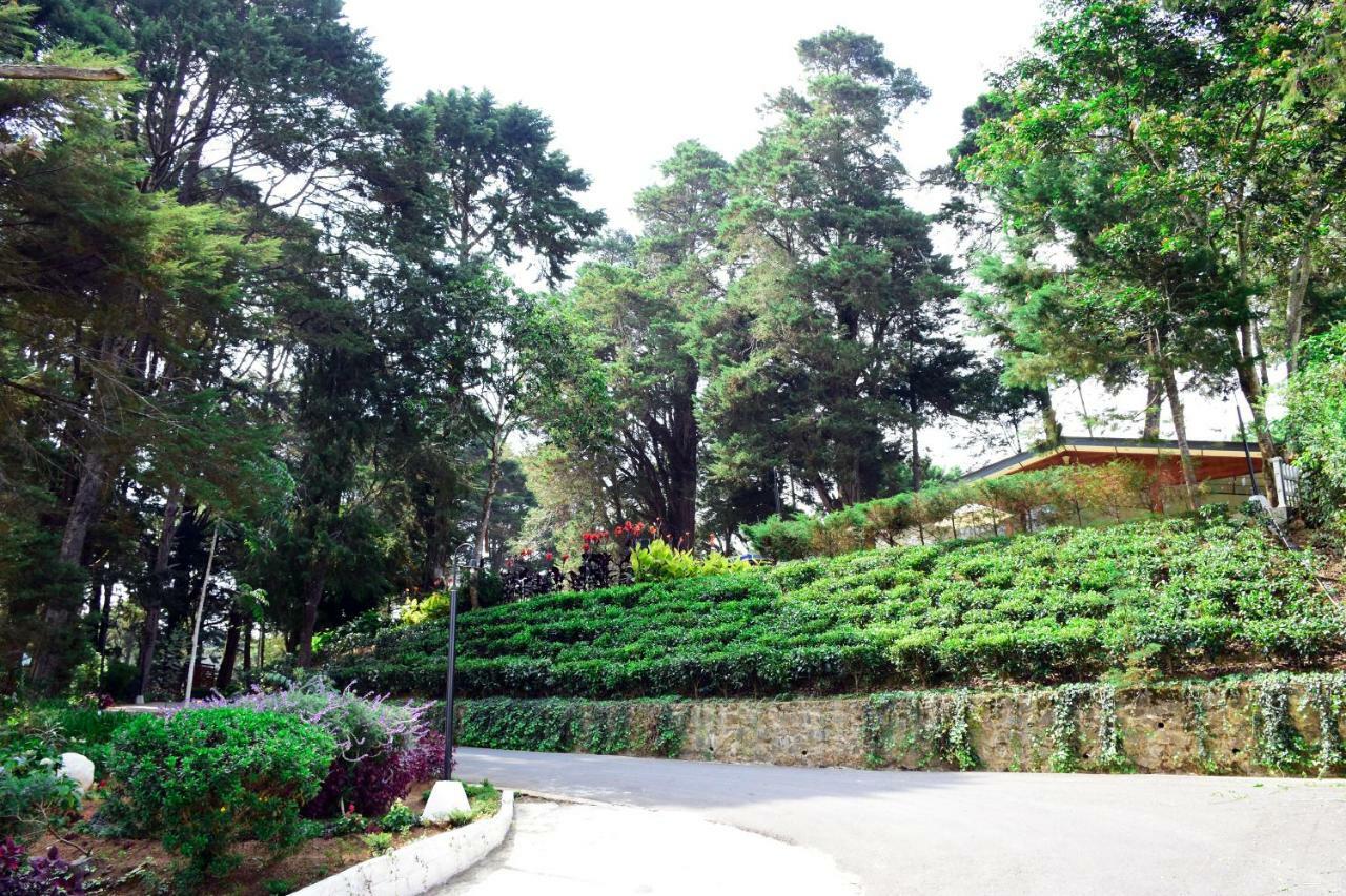 Mirage Kings Nuwara Eliya