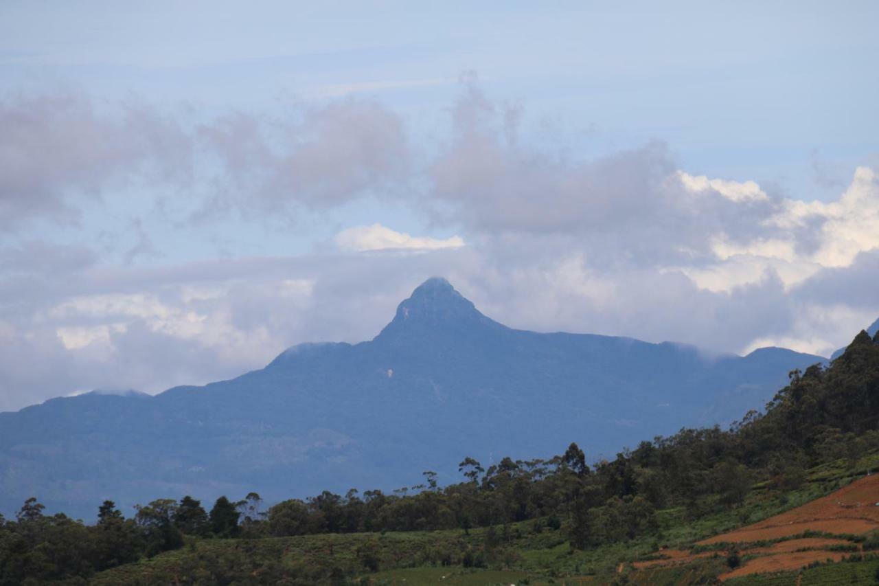 Amesbury Bed & Breakfast Nuwara Eliya