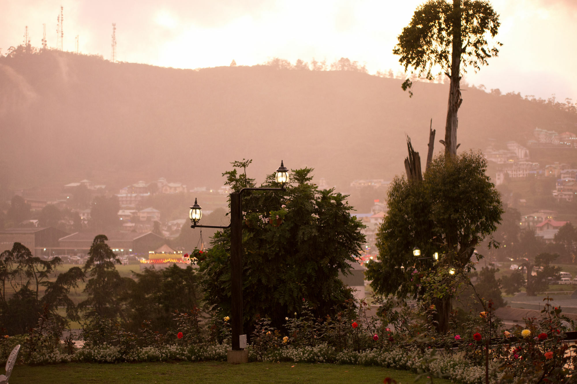 Hotel Serene King's