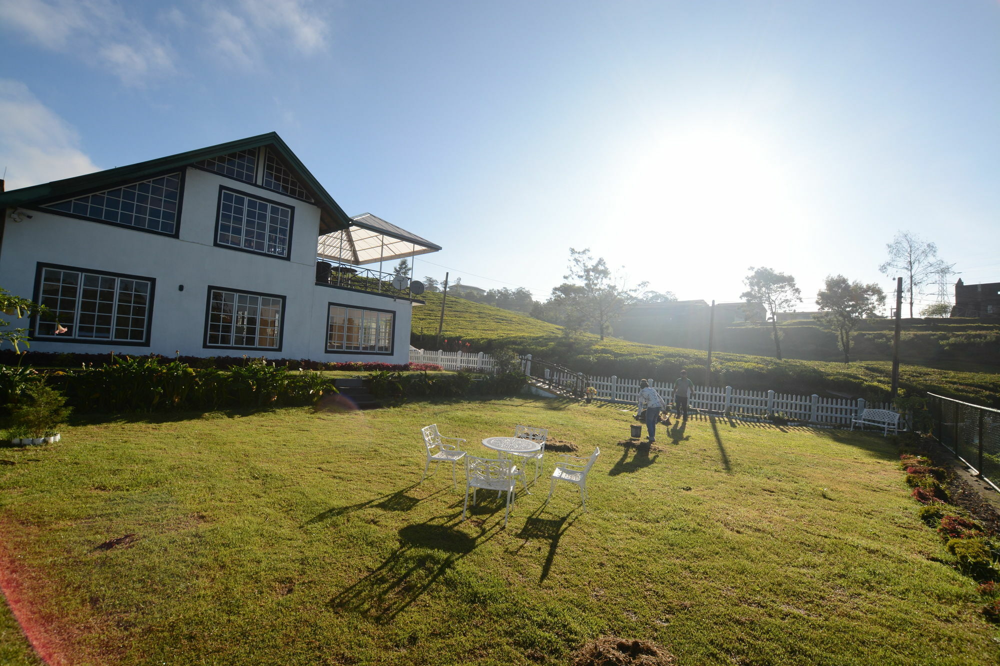 The Tea Garden * Nuwara Eliya