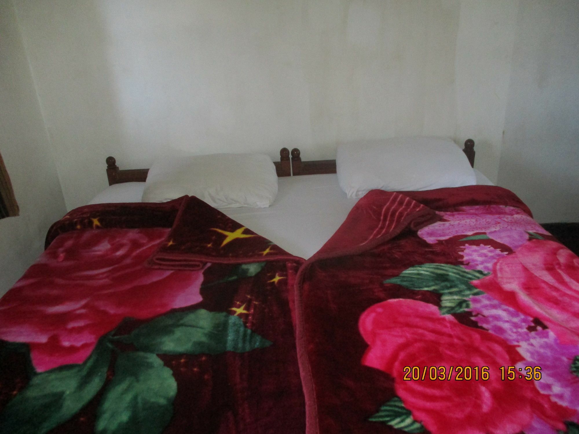 Crown Homestay