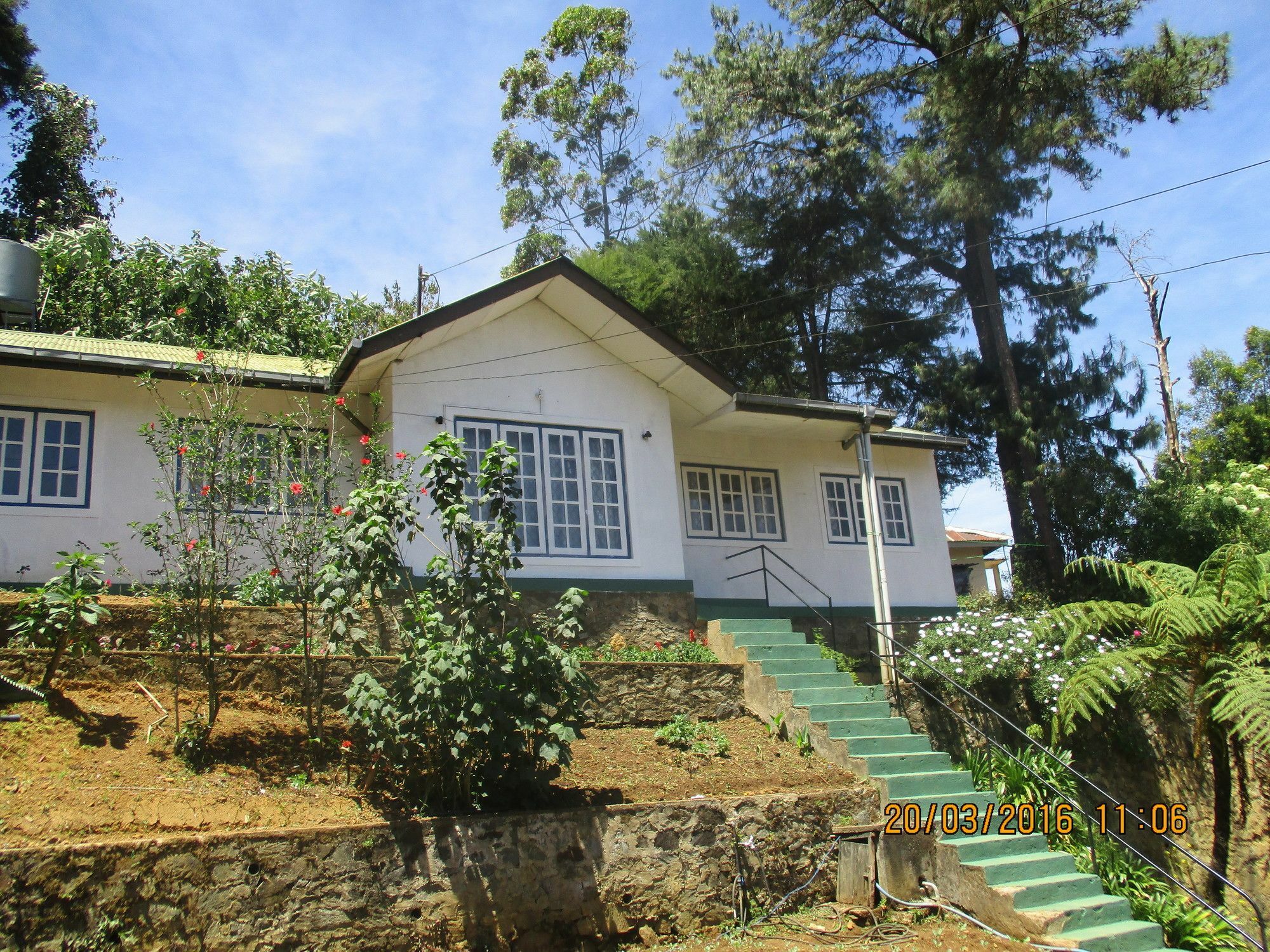 Homestay Crown *
