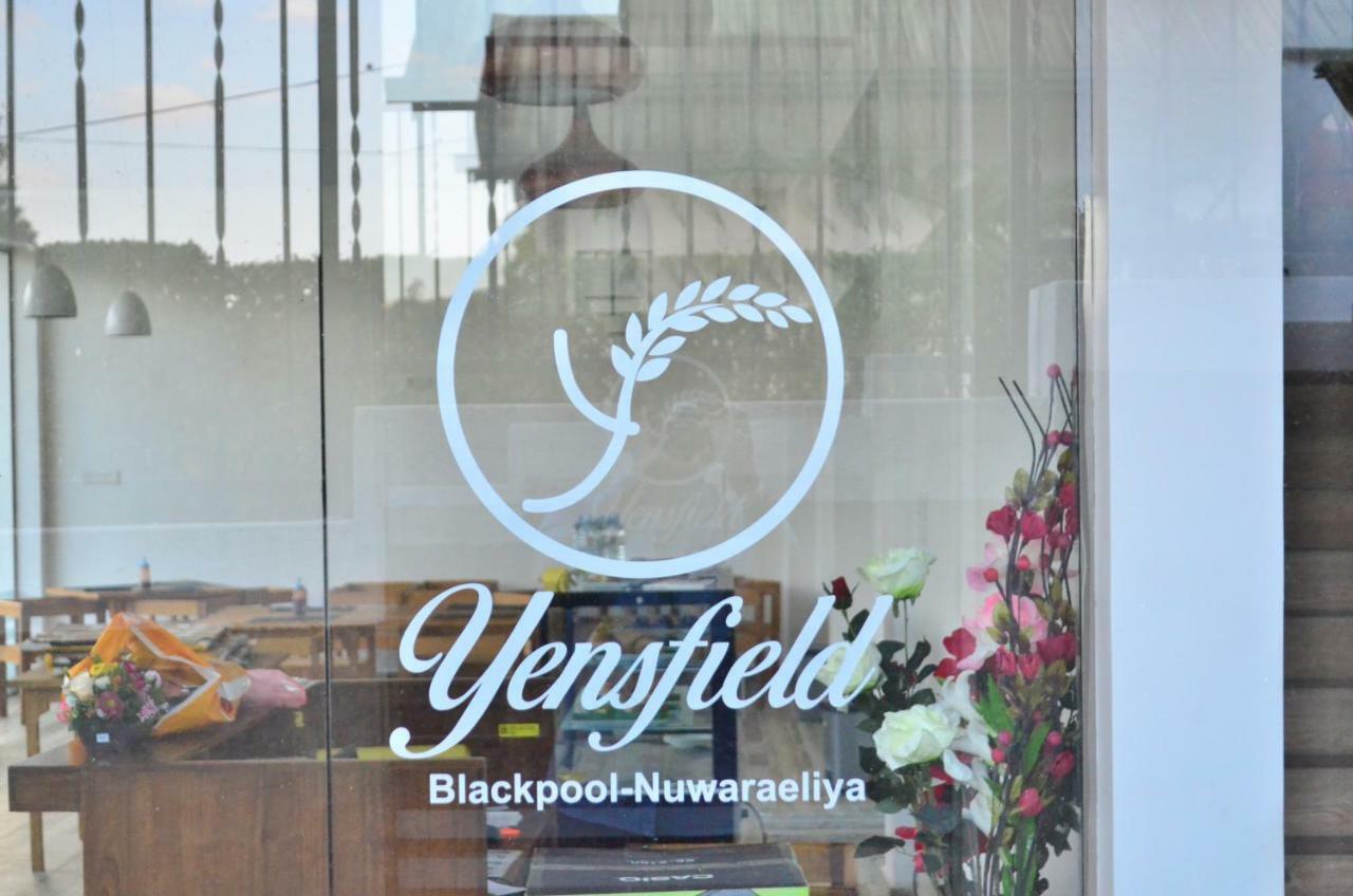 Yensfield Blackpool 3*
