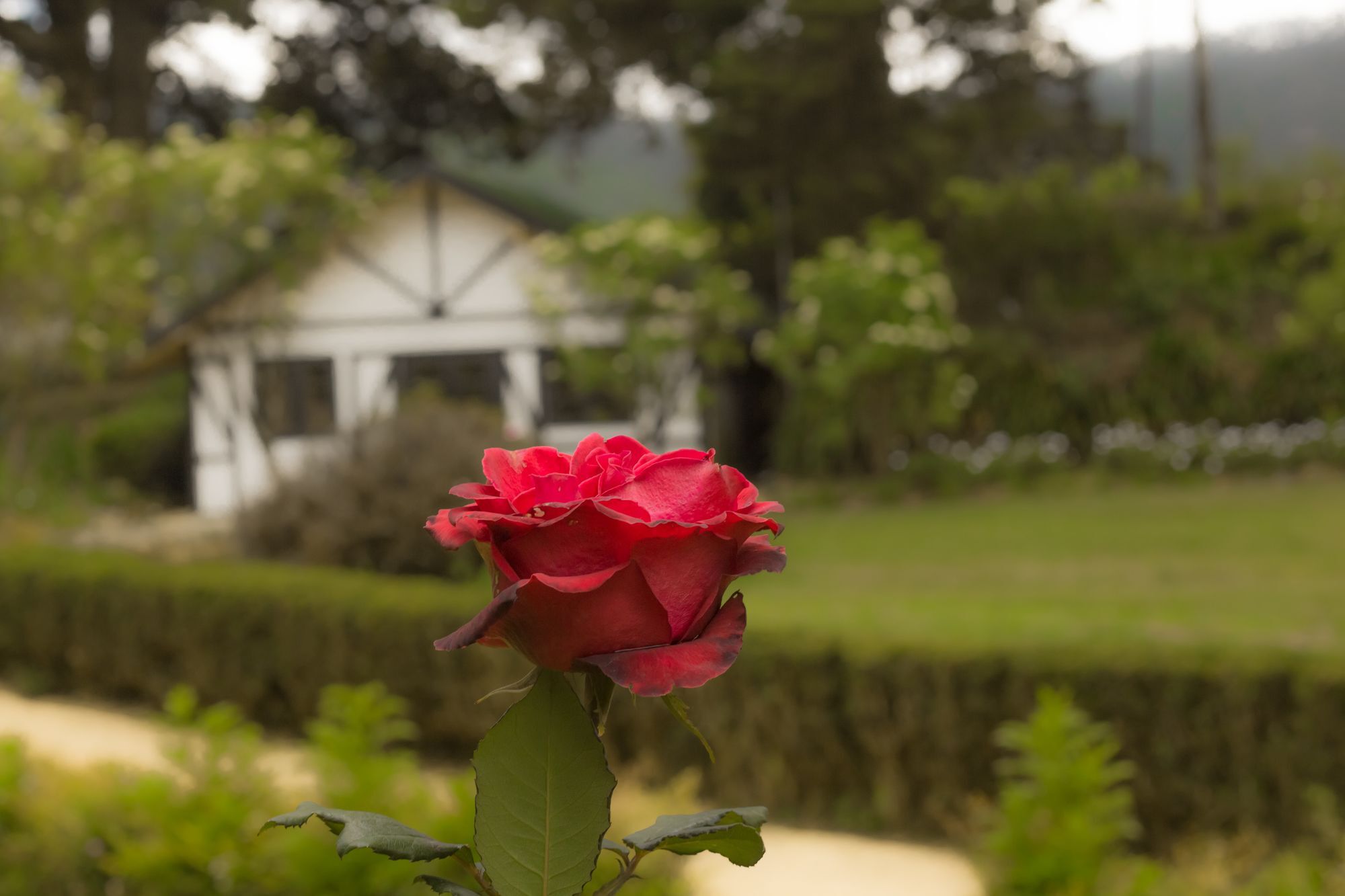Villa The Oliphant