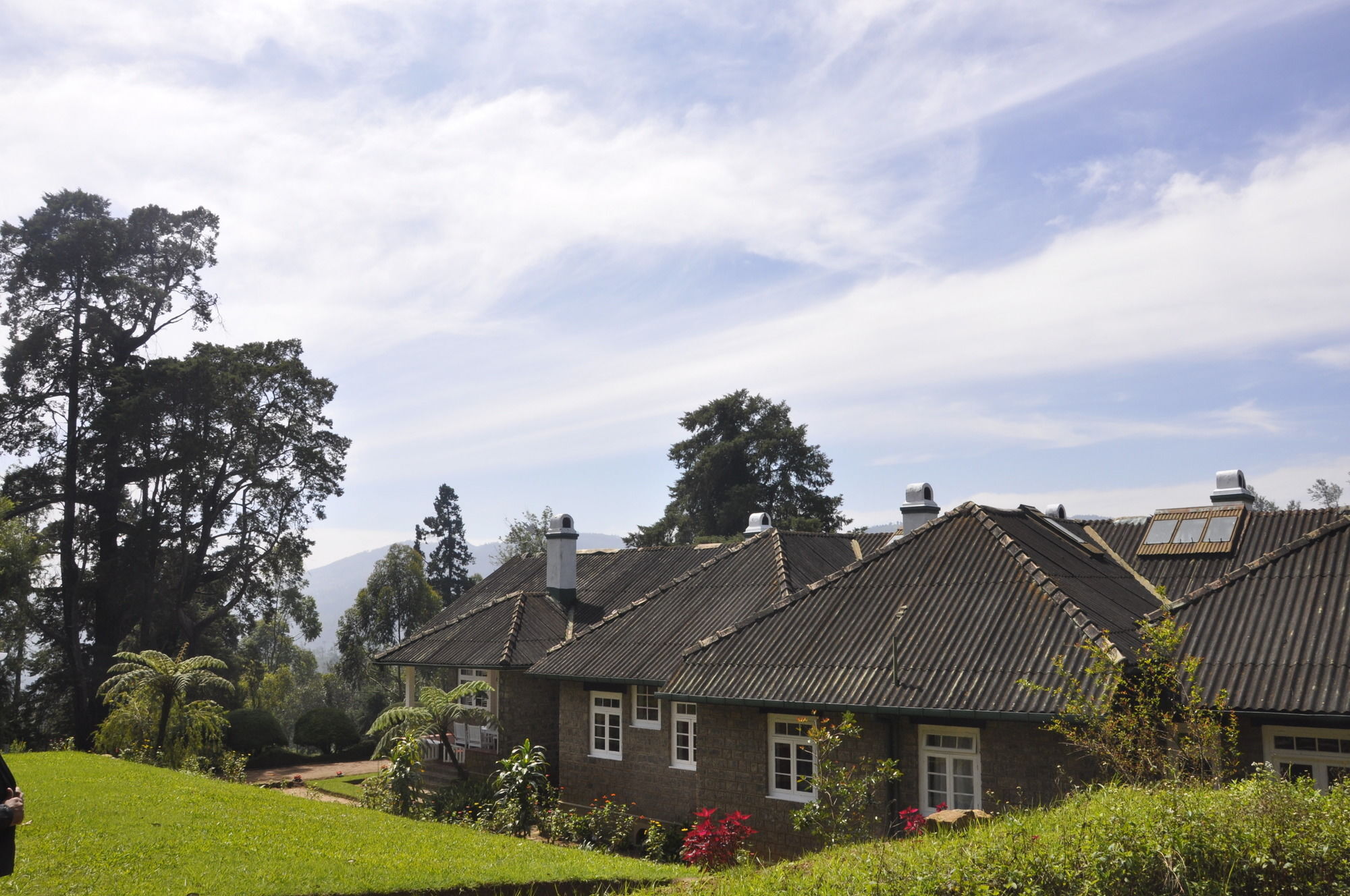 Scottish Planter Bungalow- Thema Collection *