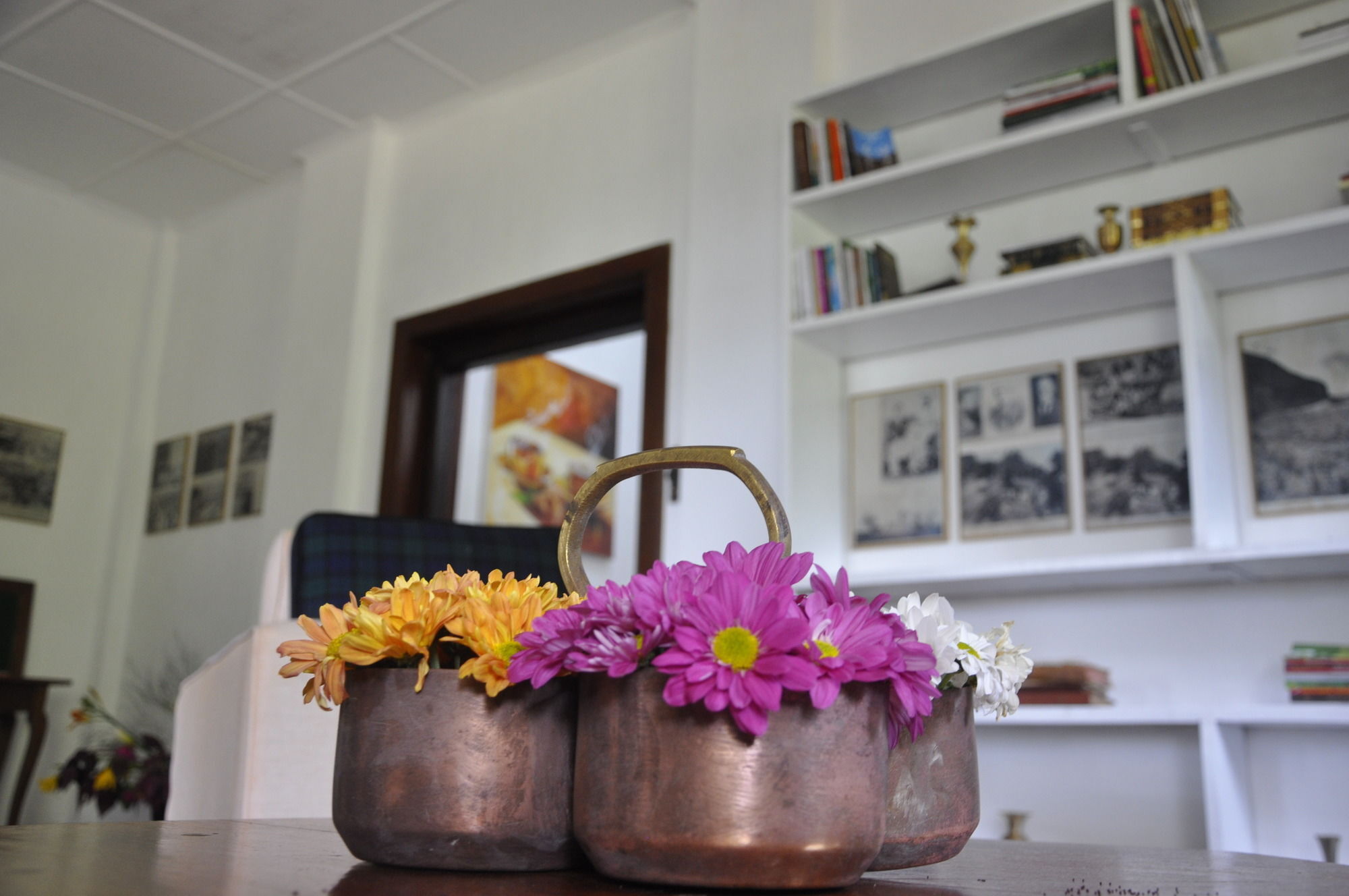 Scottish Planter Bungalow- Thema Collection *