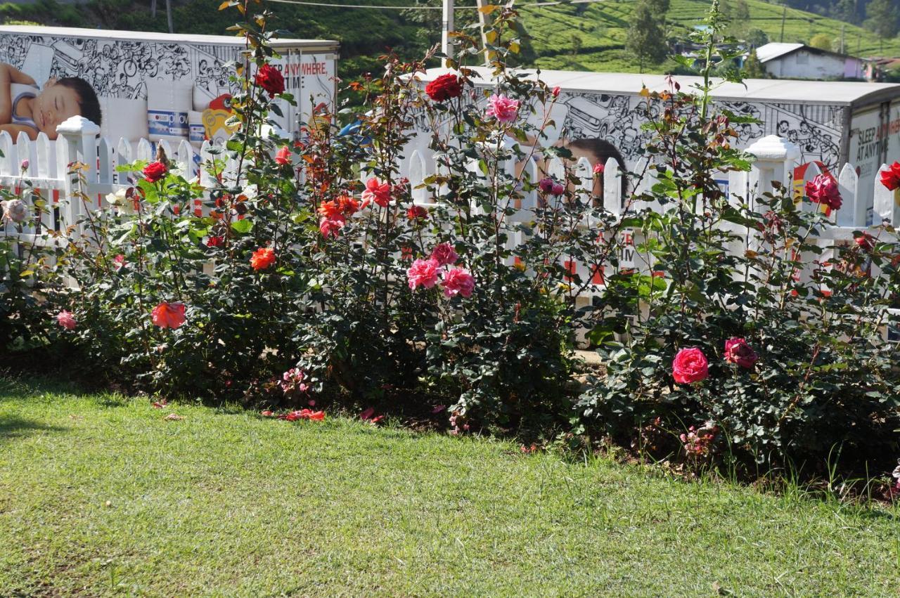 Midky 3* Nuwara Eliya