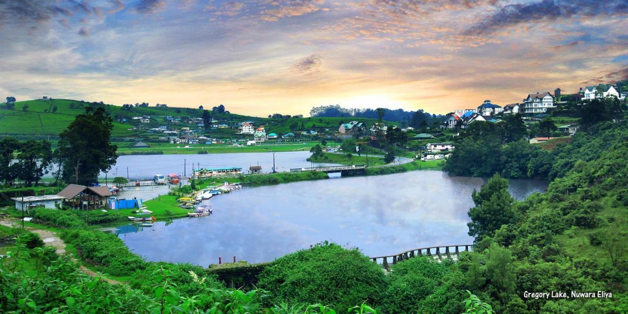 Gregory Hills * Nuwara Eliya