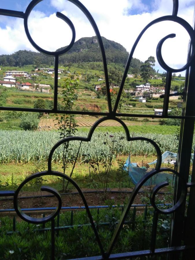 Homestay Avon Field