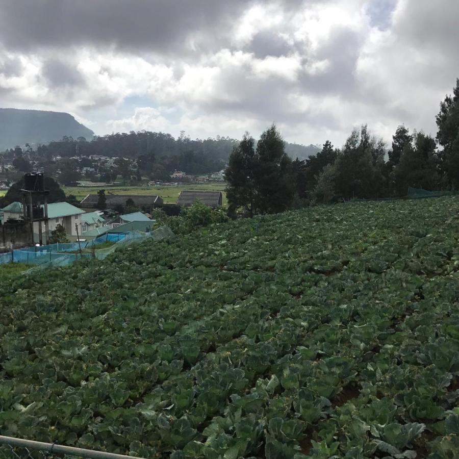 Dahlia Mount View 3* Nuwara Eliya