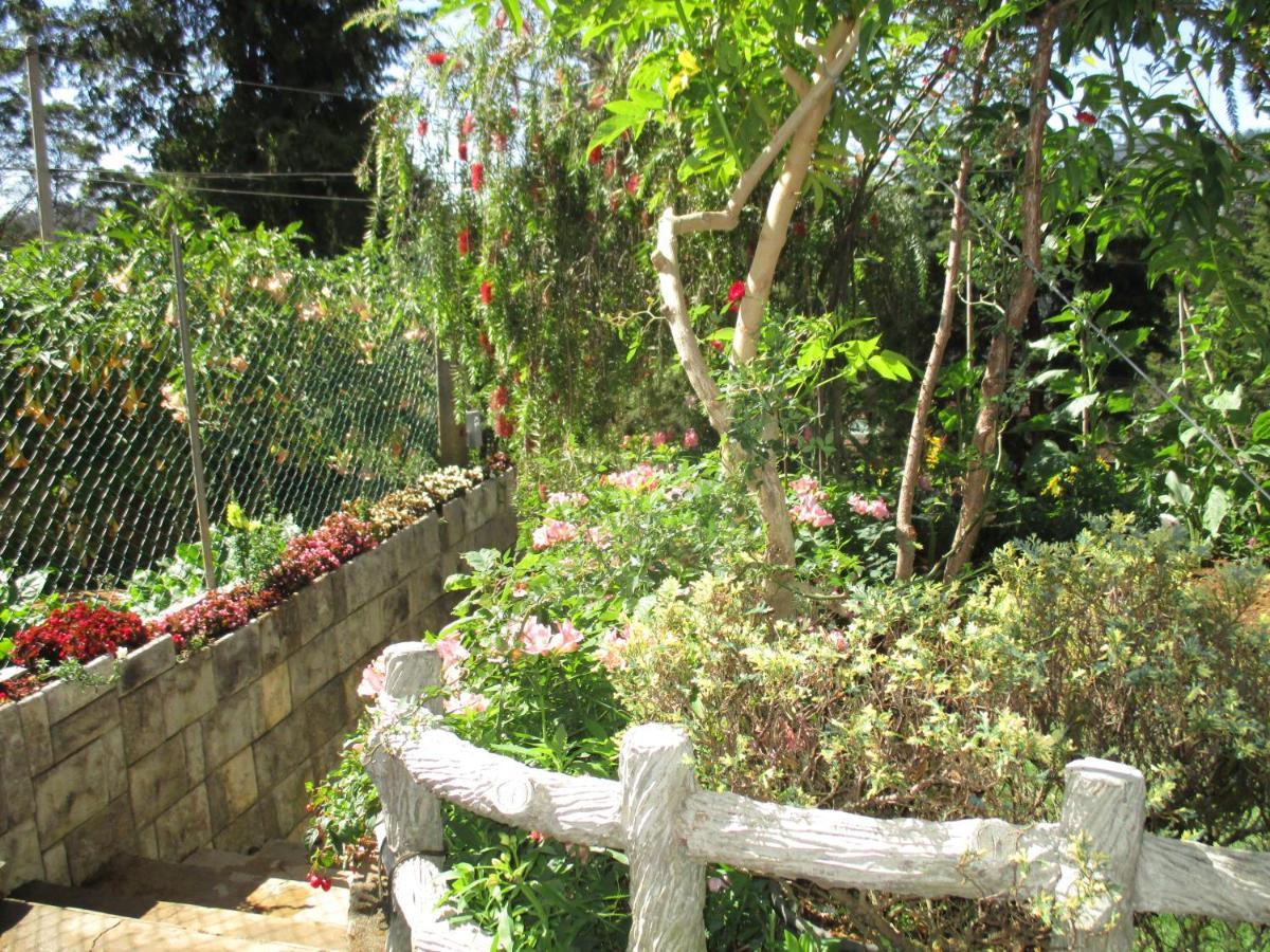 Redwood Homestay * Nuwara Eliya