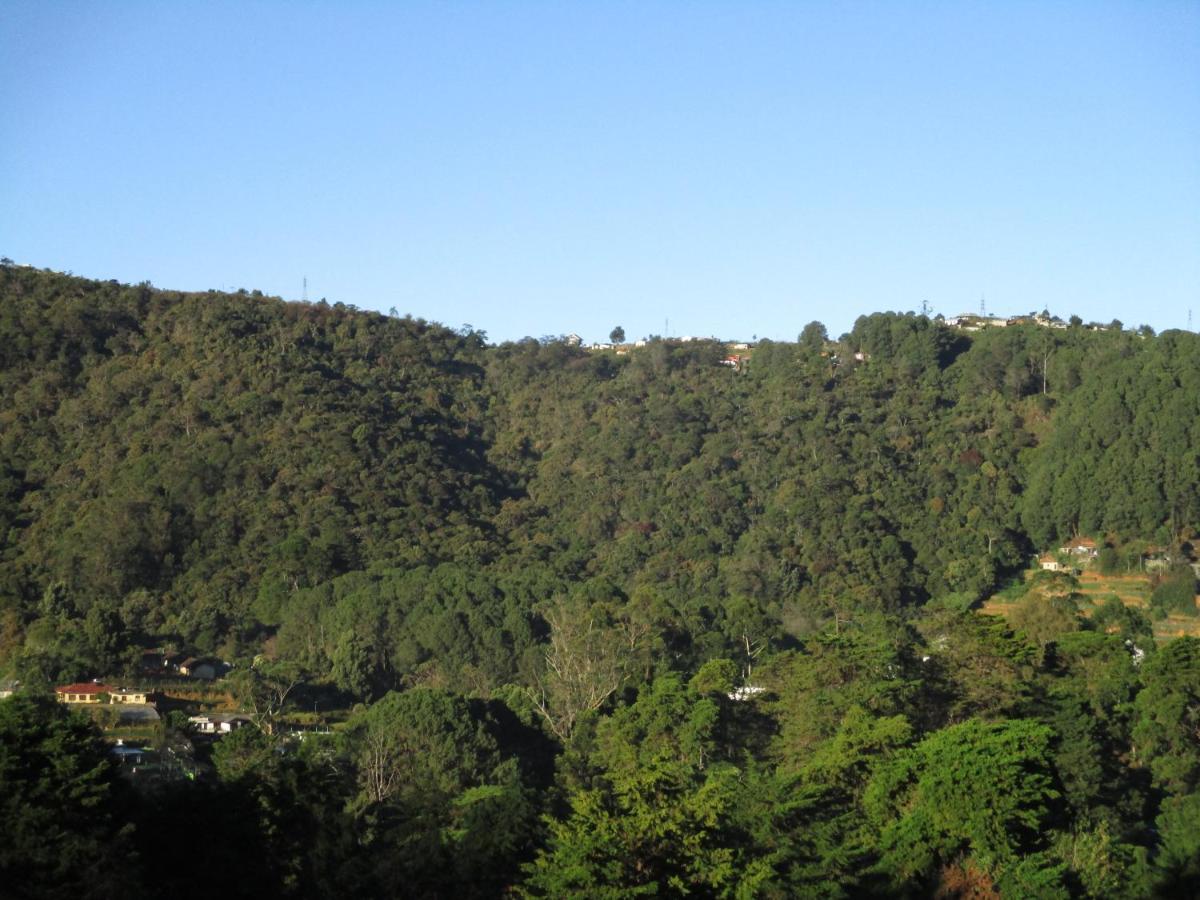 Guest house Redwood Homestay *
