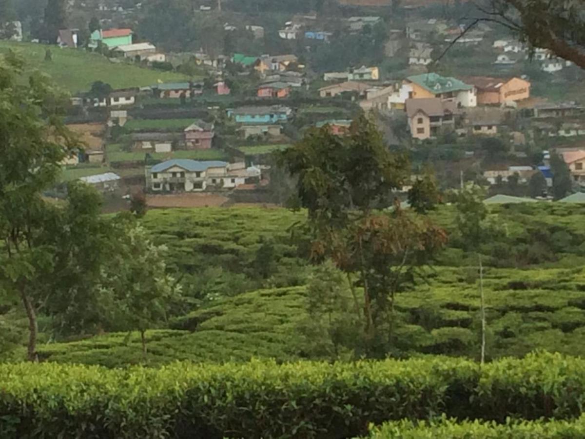 Avon Field Homestay *