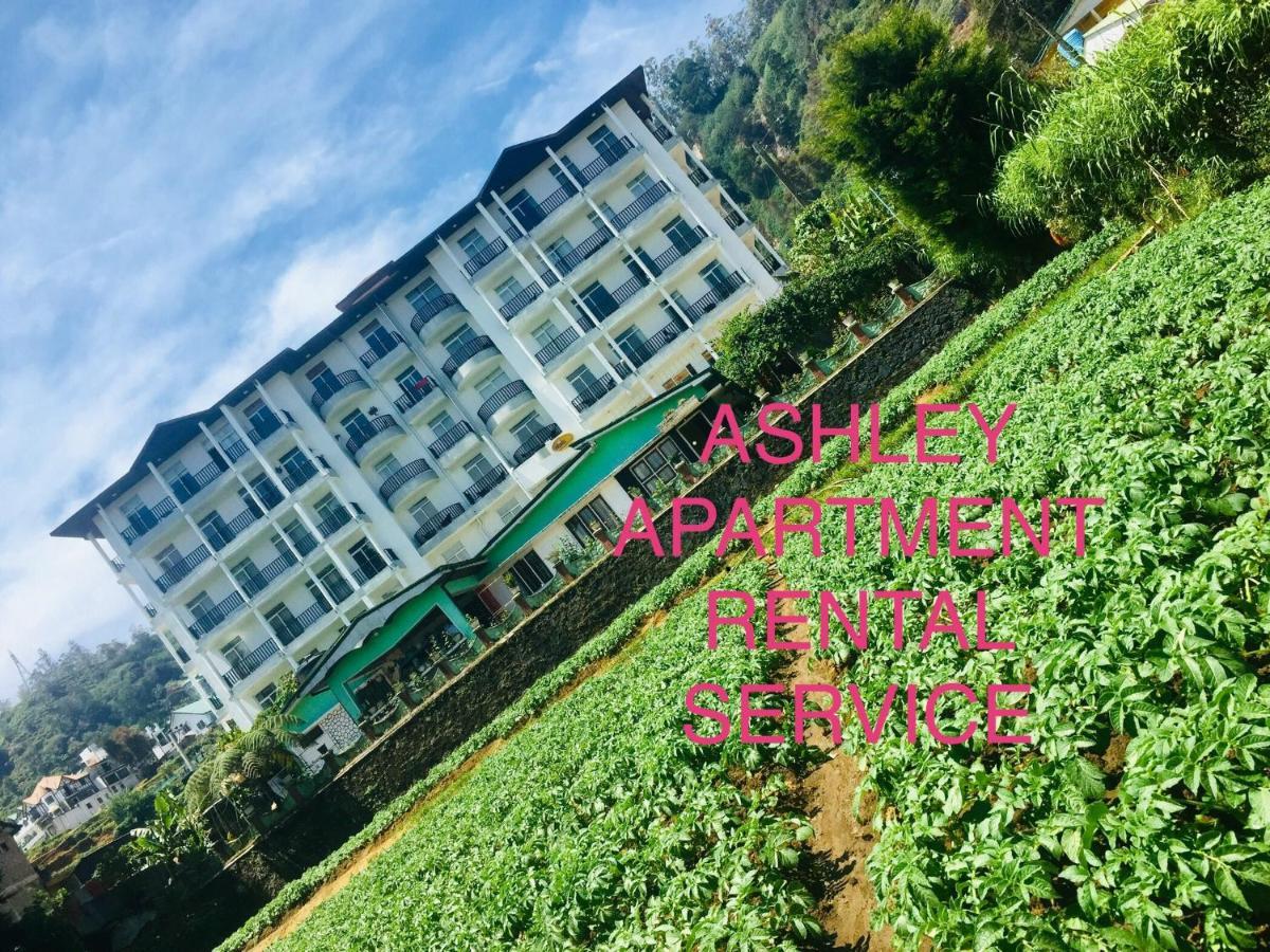 Ashley Services * Nuwara Eliya