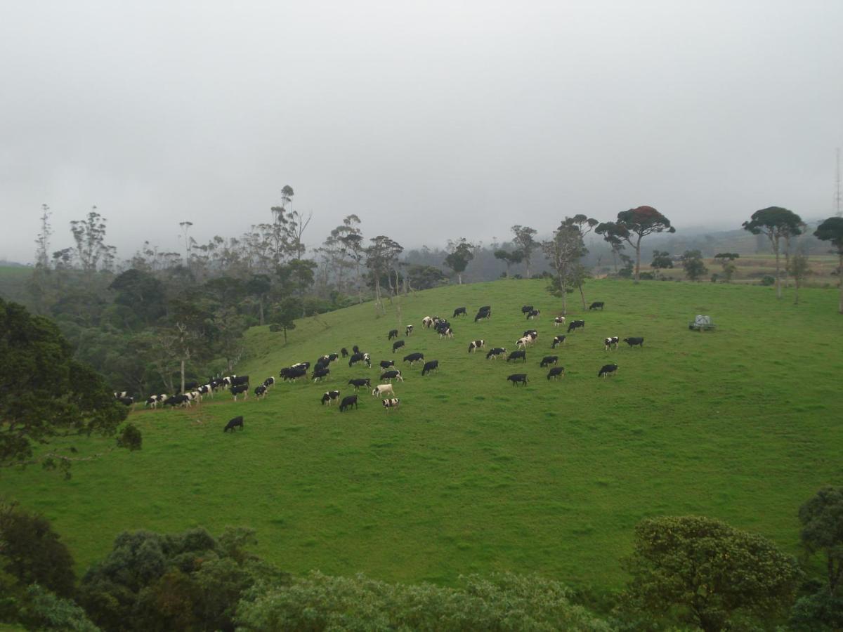 Hotel Vishmi's Rest Nuwara Eliya