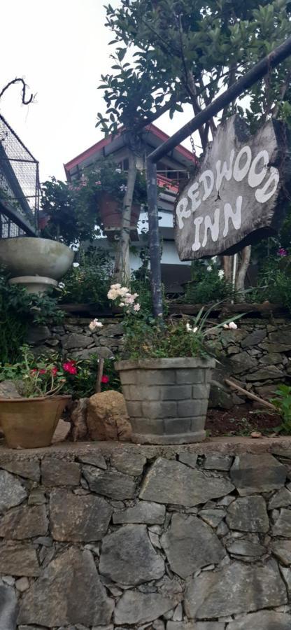 Guest house Redwood Homestay
