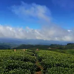 Unique View Nuwaraeliya