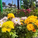 La Nuwara Eliya