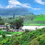 Gregory Hills