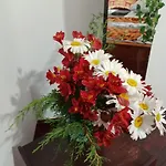 Aloka Home Stay