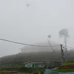 Mihidum Sihina Guest